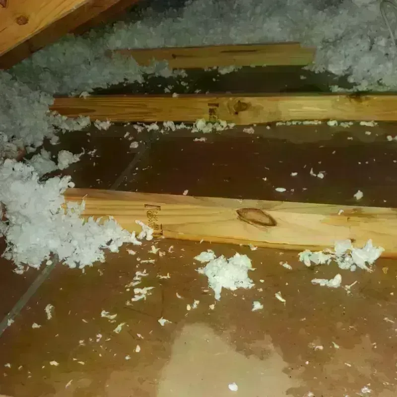 Attic Water Damage in Grundy County, IL