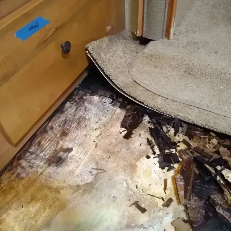 Wood Floor Water Damage in Grundy County, IL